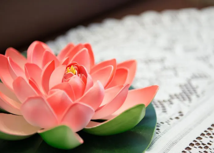 Couette-café Antico Borgo Teresiano